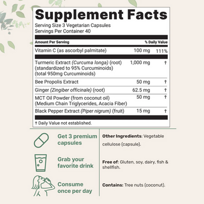 Lipohealth Turmeric Curcumin 1,000mg